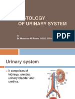 1st Lecture On The Histology of Urinary System by DR Roomi