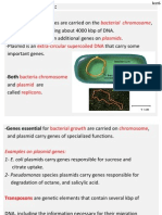 Microbial Genetics 6