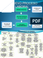 Nuevo Proceso Laboral