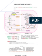 21 Pentose Phosphate Pathways