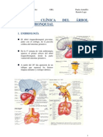 Anatomía Clínica Del Árbol Traquebronquial.