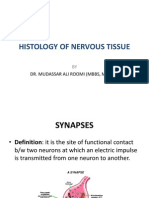 Histology of Synapse and Neuroglia by Dr. Roomi