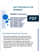 Budget Process in The Government