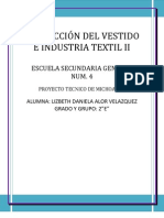 Confección Del Vestido e Industria Textil Ii