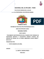 Informe de Prácticas Preprofesionales