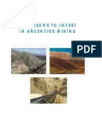 10 Reasons To Invest in Argentine Mining