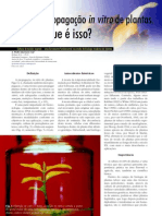 Cultura in Vitro PDF