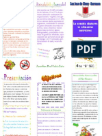 Trabajo Triptico 5 PDF¡¡¡