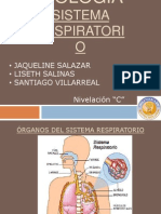 Sistema Respiratorio