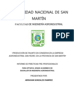 Planta Procesadora de Palmito en Conserva