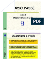 01 Magnetismo e Fluido