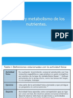 Ejercicio y Metabolismo de Los Nutrientes