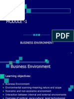 Business Environment