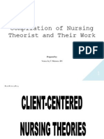 Nursing Theorist