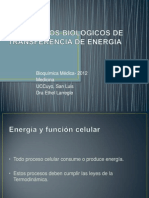 Mecanismos Biologicos de Transferencia de Energia