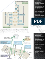 Brain Gut Axis