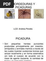 Mordeduras y Picaduras