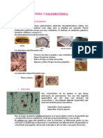 TEMA 7 - Paleobotánica