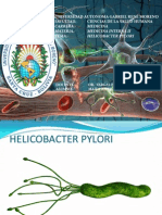 Helicobacter Pylori