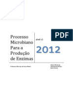 Processos Microbianos para Produção de Enzimas