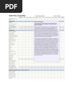 12 Month Cash Flow