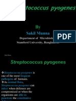 Streptococcus Pyogenes