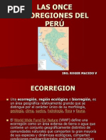 Las Once Ecoregiones Del Perú