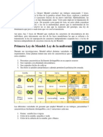 Leyes de Mendel