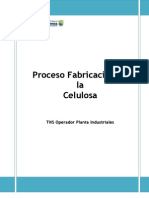 Proceso Fabricación de La Celulosa