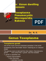 Toxoplasma Pneumocystis Microsporidia Babesia