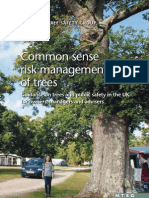 Common Sense Risk Management of Trees National Tree Safety Group