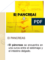 El Pancreas