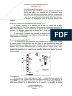 Cromosomas Sexuales, Determinacion Genetica Del Sexo