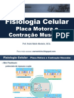 Fisiologia Celular - Placa Motora e Contração Muscular