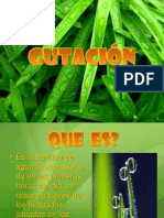 Gutacion