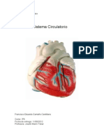 Sistema Circulatorio