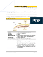 Introduction To Chordates & Fish Anatomy: Chordate Characteristics