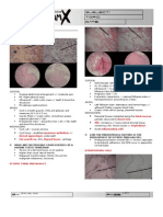 Diseases of The Female Genital Tract