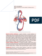 Pequena e Grande Circulação