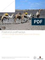 Pastoral Pathways: Climate Change Adaptation Lessons From Ethiopia