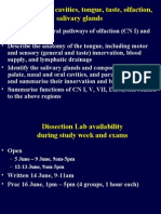 Nasal and Oral Cavities, Tongue, Taste, Olfaction, Salivary Glands