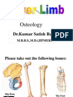 Lower Limb BONES