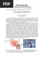 ESPERMIOGRAMA Según Los Criterios de La OMS 5 Edición