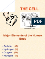 The Cell: Cloned Sheep (Dolly)