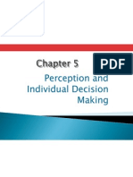 Perception and Individual Decision Making