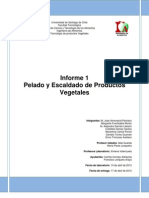 Informe 1 de Vegetales Pelado y Escaldado