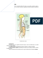 Unidad 1 - Organizacion y Estructura Del Cuerpo Humano. Parte 3