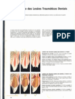 Classificação Das Lesões Traumáticas Dentais