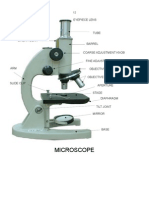 Microscope: Eyepiece Lens