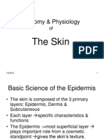 Anatomy Physiology of The Skin